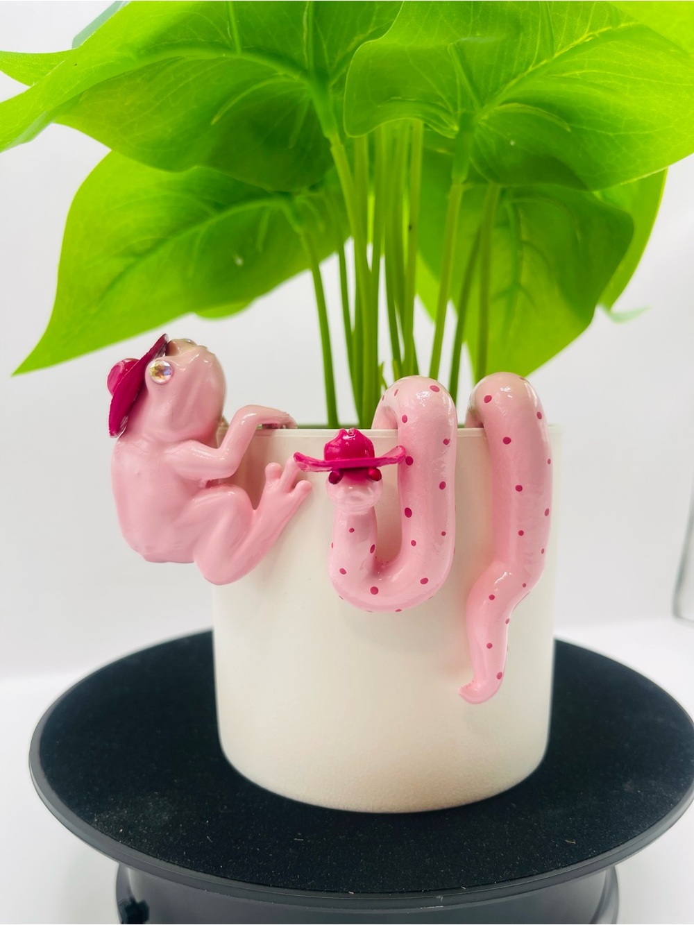 The “Pink Outlaw” Collection - Frog and Mini Snake Plant Decor Pot Hugger